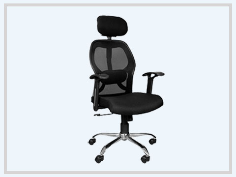 Director Chair