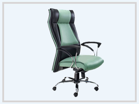 Ergonomic Chairs