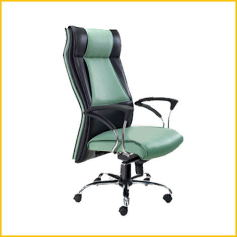 Ergonomic Chairs